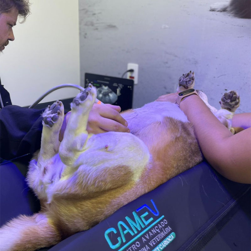 Icaraí-2